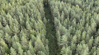 VKOY sahkoverkon kunnossapito 300dpi 1182x425px