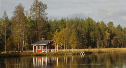 Energianeuvonta mokkeily2 98dpi rgb 500x310px