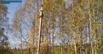 johtokatujen raivaus syksy